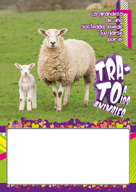 Almanaque Fauna Papel ¼ 